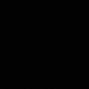 Meet your Posher, Shelby